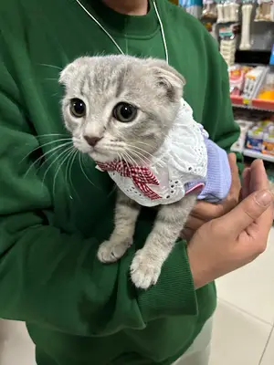 Sevvet Veteriner Kliniği fotoğrafı