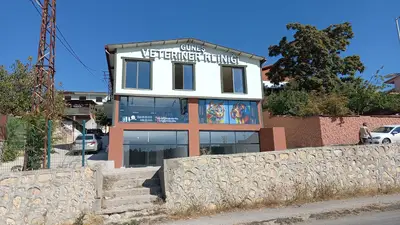 Güneş Veteriner Kliniği