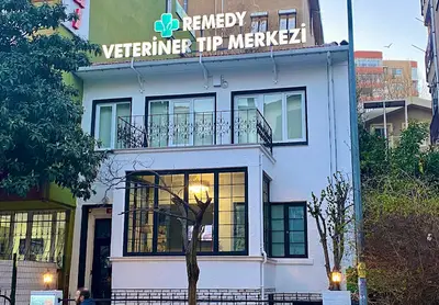 Remedy Veteriner Tıp Merkezi 7/24 Açık ve Acil Nöbetçi Veteriner Kliniği - Veteriner Kardiyoloji, Kuş Veterineri