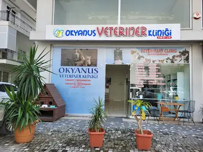 Okyanus Veteriner Kliniği