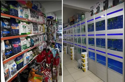 Manavgat Buğra PetShop Akvaryum Mama