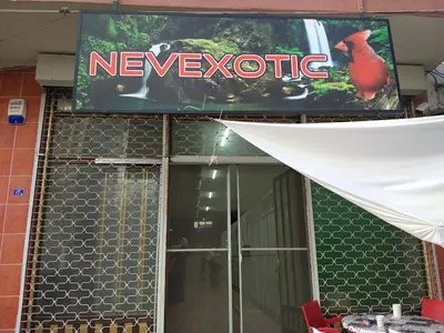 Nev Exotic