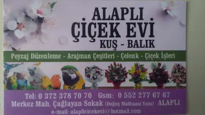 ALAPLI ÇİÇEK EVİ
