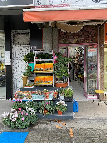 ALAPLI ÇİÇEK EVİ foto 2