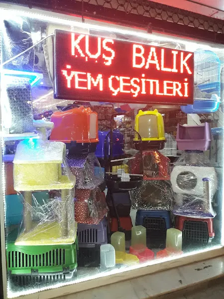 Yakamoz Petshop Avaryum foto 2