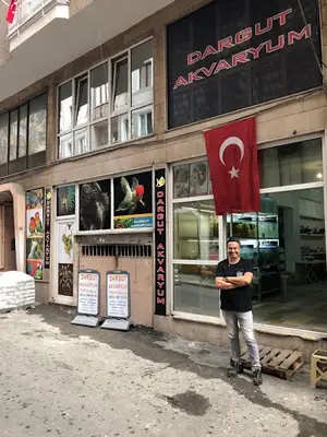 Dargut Pet & Akvaryum