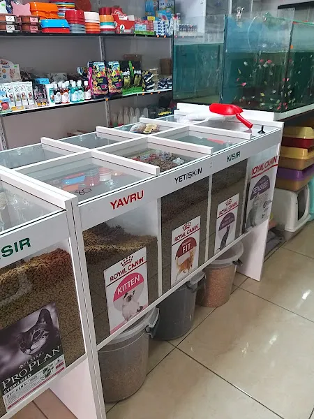 CAN PETSHOP foto 2