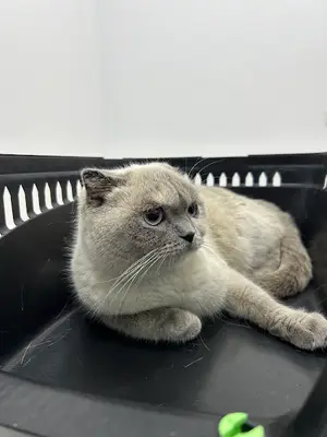 Özel Cinkaya Veteriner Kliniği