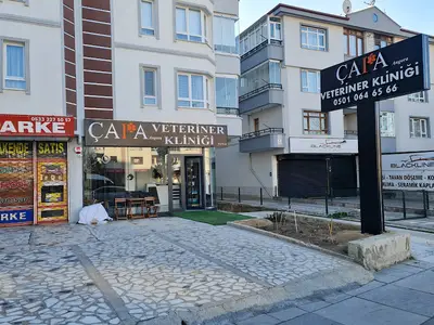 ÇAPA ANGORA VETERİNER KLİNİĞİ MAMAK