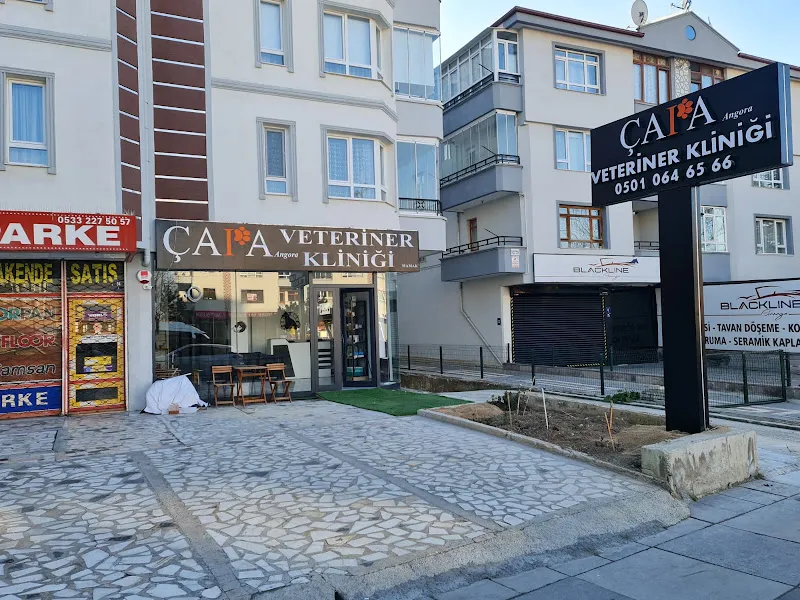 ÇAPA ANGORA VETERİNER KLİNİĞİ MAMAK foto 1