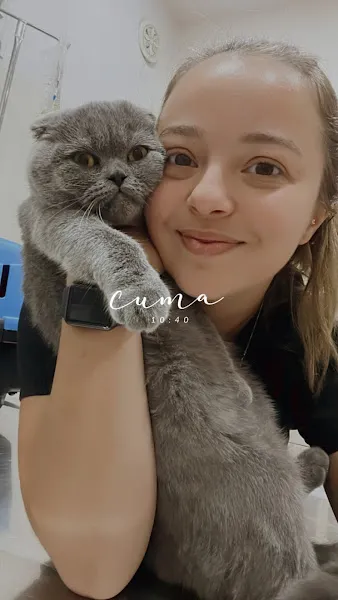 TÜRK-VET. Veteriner Kliniği foto 2