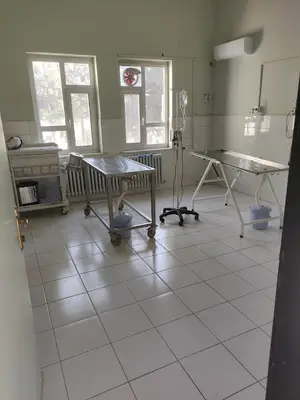 Hayvan Hastanesi