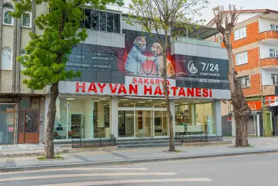 Sakarya Hayvan Hastanesi