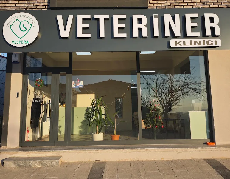 Vespera Veteriner Kliniği foto 1