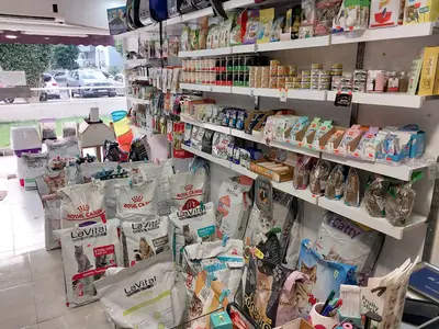 GÜMÜŞ PETSHOP ANTALYA MELTEM