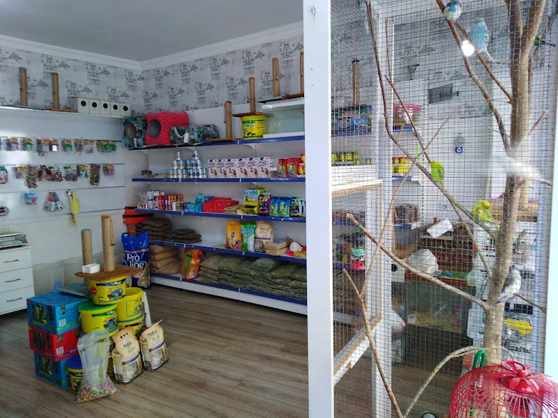 MESA Petshop foto 2
