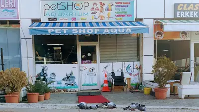 Batıkent Petshop Aquarium