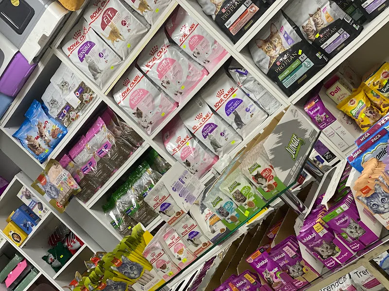 Çamlıca petshop foto 2