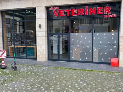 GÜLBAĞ VETERİNER KLİNİĞİ-ŞİŞLİ