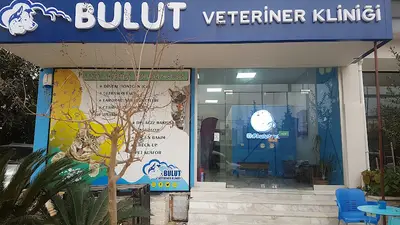 BULUT VETERİNER KLİNİĞİ