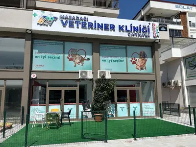 Masadağı Veteriner Kliniği Çankaya - Mazıdağı Veteriner - Çankaya Veteriner