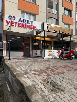 AORT VETERİNER KLİNİĞİ