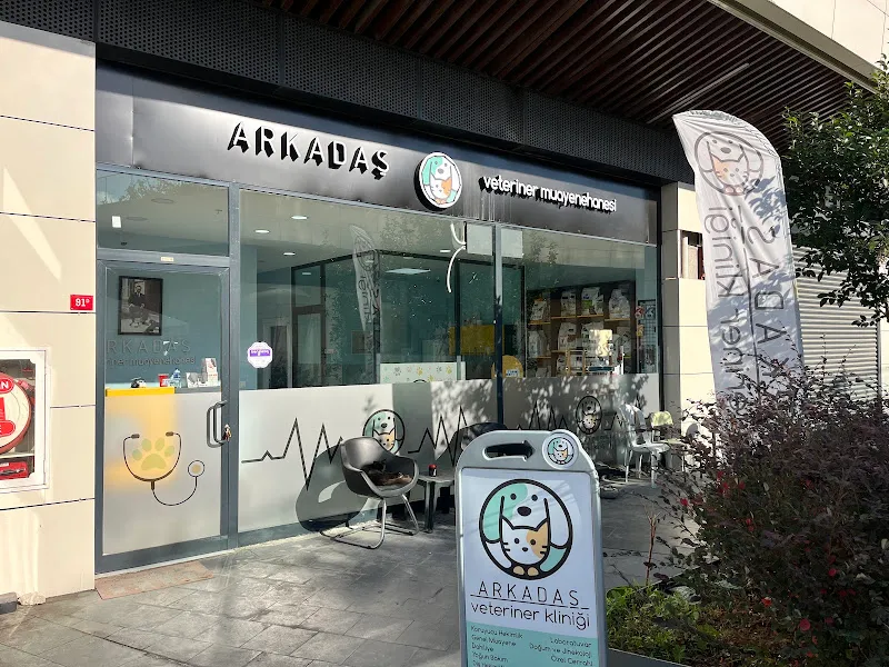 Güneşli Arkadaş Veteriner Kliniği foto 1