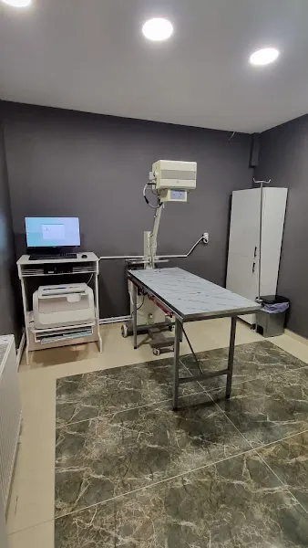 Riva Veteriner Kliniği foto 2