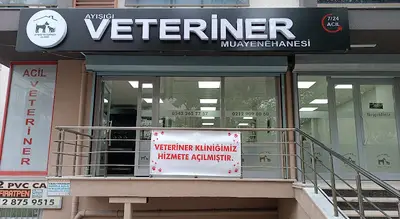 BEYLİKDÜZÜ 7/24 VETERİNER NÖBETÇİ - AYIŞIĞI VETERİNER KLİNİĞİ - GÜRPINAR