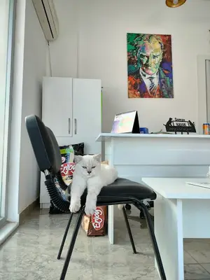 7/24 acil veteriner Pisikopati veteriner kliniği