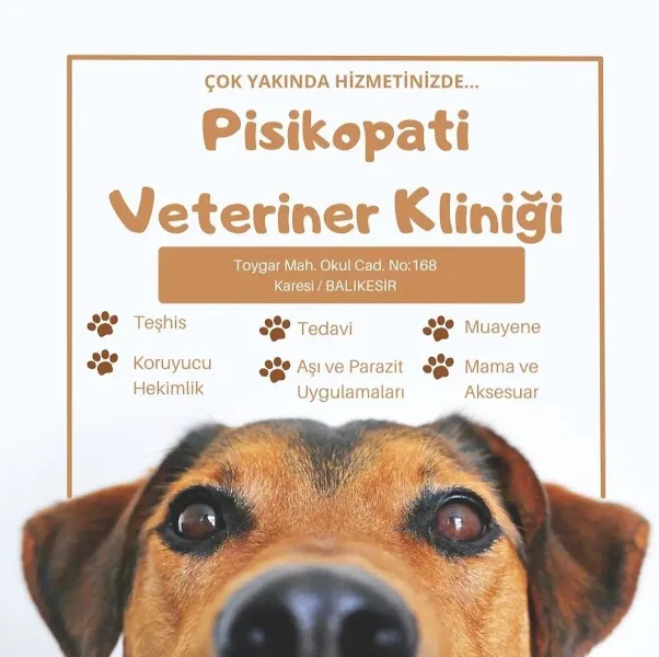 7/24 acil veteriner Pisikopati veteriner kliniği foto 2