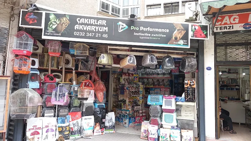 Çakırlar Akvaryum foto 1