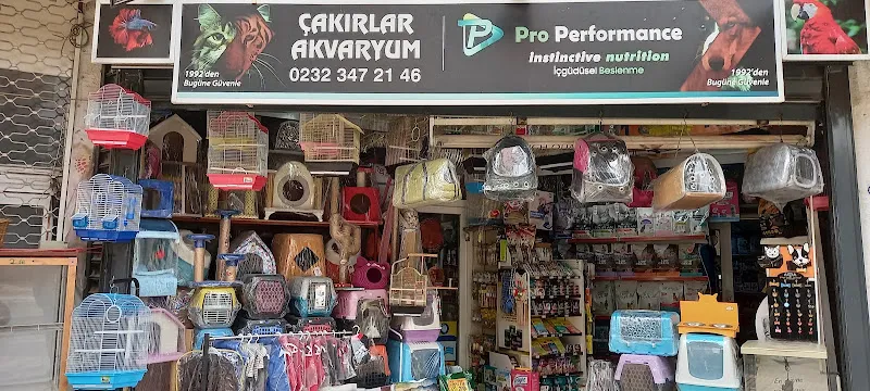 Çakırlar Akvaryum foto 2