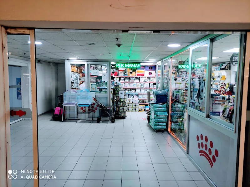 Alpemir Petshop ve Akvaryum CarrefourSA şube foto 1