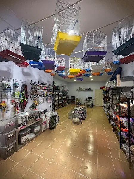 ŞAKA PETSHOP foto 2