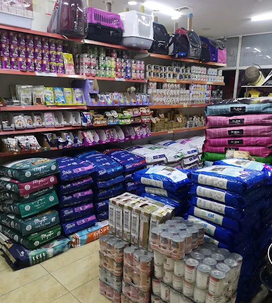 pembe patiler petshop foto 2