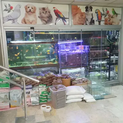 Soner Akvaryum Petshop