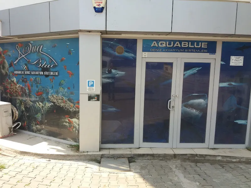 Aqua Blue foto 1