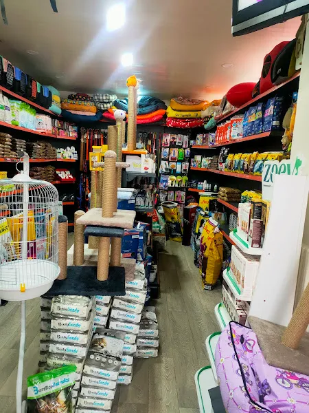 Renkli Kafes PetShop foto 2