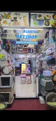 Alanya petshop