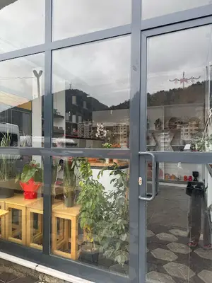 City Flower&FA Borçka
