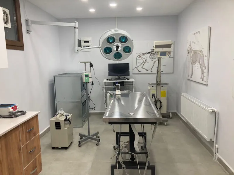Cömert Veteriner Kliniği foto 2