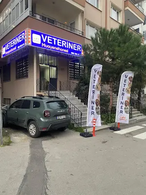 Patem Veteriner Kliniği l Erikli mh.