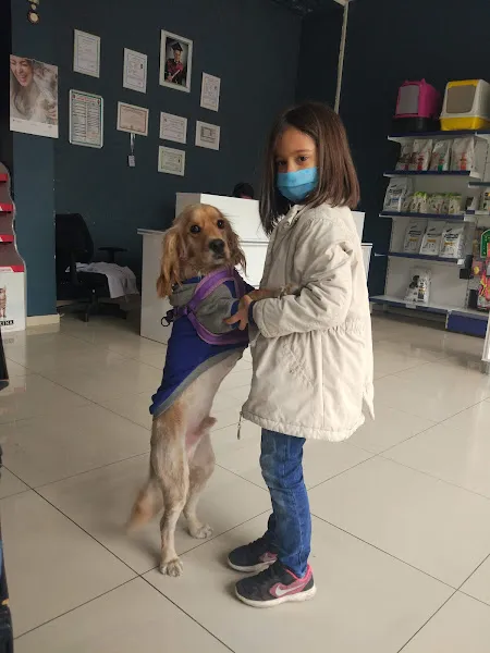 Doğa veteriner kliniği foto 2