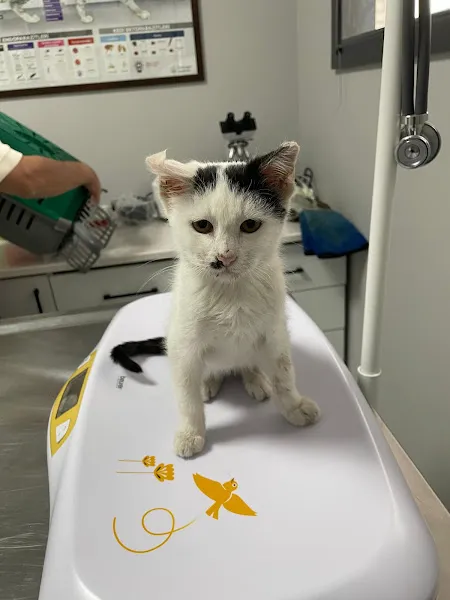 Vetpoint Veteriner Kliniği foto 1