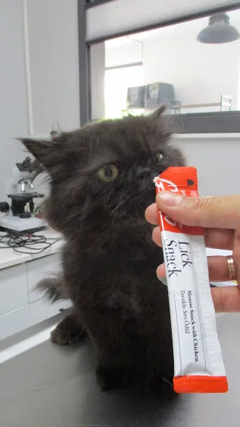 Vetpoint Veteriner Kliniği foto 2
