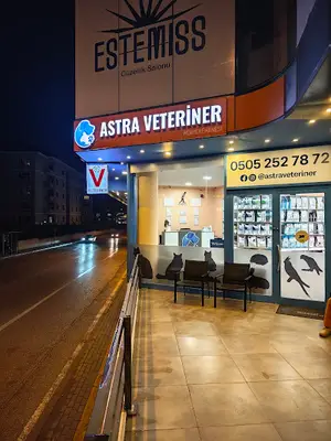 Astra Veteriner Muayenehanesi I 7/24 Acil Veteriner I Balat Veteriner I Nilüfer Veteriner