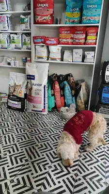 Misya Veteriner Kliniği