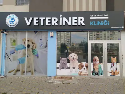 Altınoluk Veteriner Kliniği