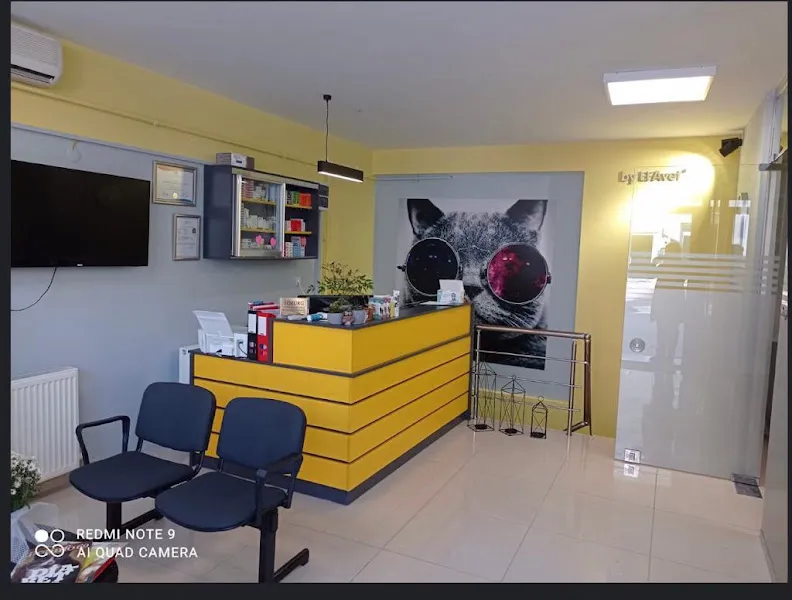 Simurg Veteriner Kliniği foto 1